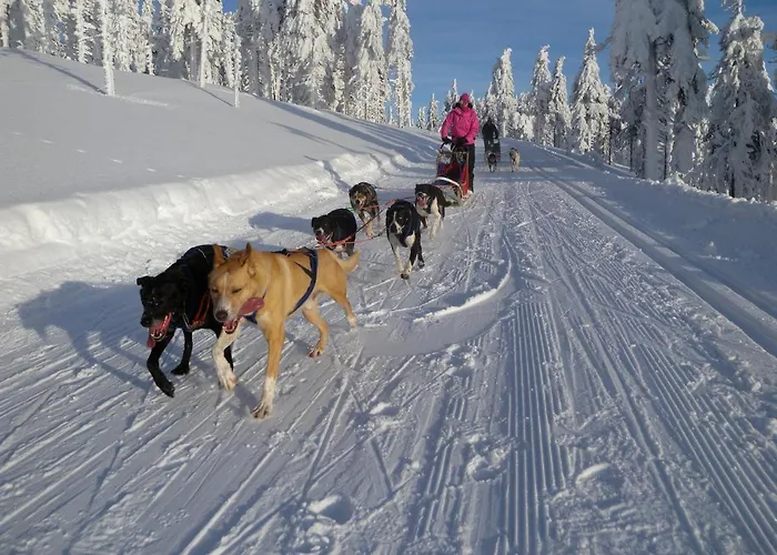 Jaktstuga Bouda Racek